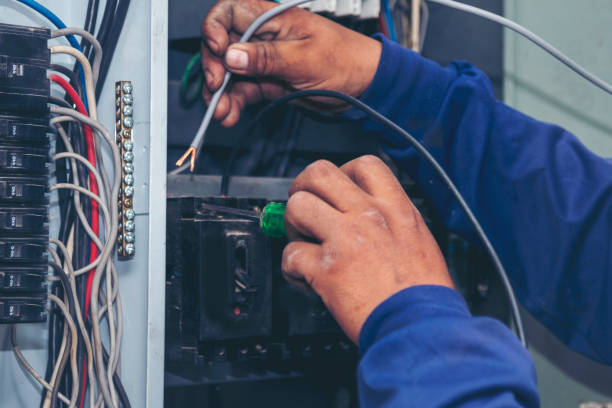 Best Electrical System Inspection  in Mendon, IL