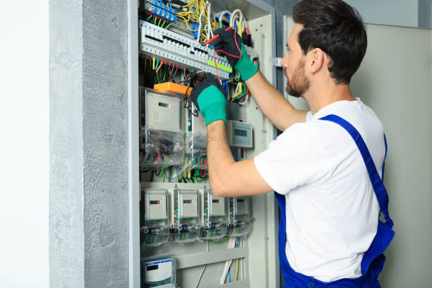 Best Home Electrical Repair  in Mendon, IL